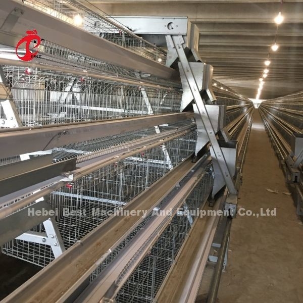 Sistema de jaula de baterías de 3/4/5 niveles para el iris de las granjas avícolas de pollo de capa automatizada