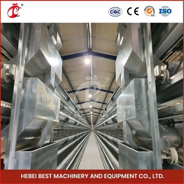 Caliente galvanizado tipo H Broiler Cage Tratamiento de superficie de plata para la cría de aves de corral Rosa
