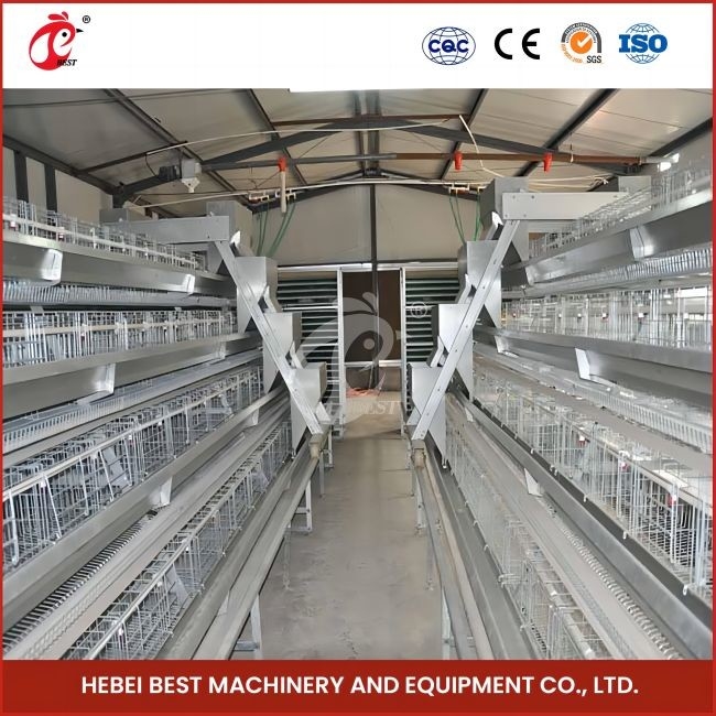 96 Aves Tipo H Jaula automática de pollo / Jaula de pollo tipo broiler con puerta corredera Rosa