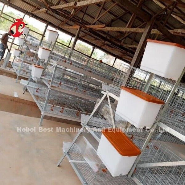3 o 4 niveles de cría de pollos Jaula H cinturón Sistema de limpieza manual 2x2x1.6 metros Doris