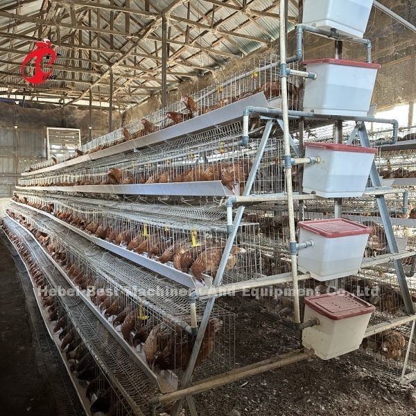 Sistema de jaula de cultivo de aves de corral con pezones automáticos