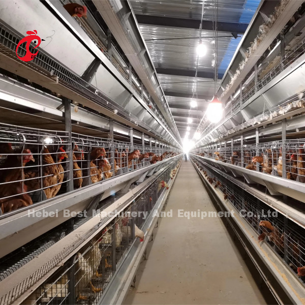 Sistema de jaula de baterías de capa automática marco H para 30000 aves granja avícola Emily Wang
