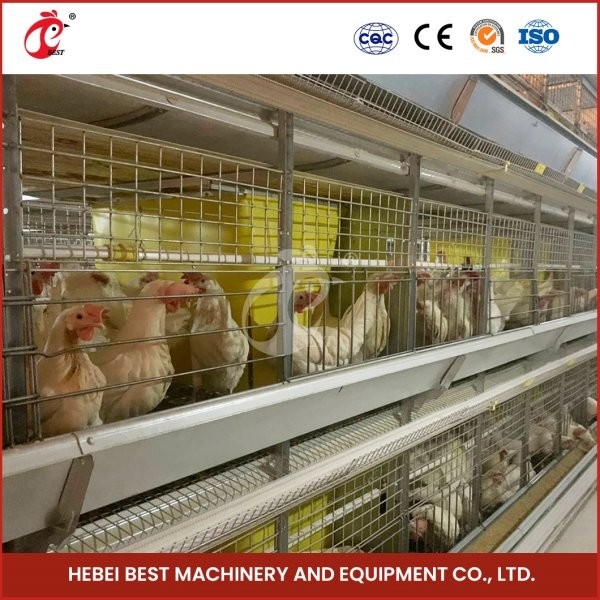 Cajera de pollo de pollo tipo H con puerta corredera 450cm2 Área/Instalación de video de aves incluida Ada