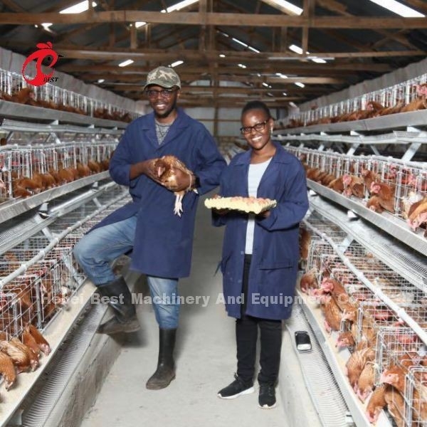 Jaula de pollo de 110 kg de capacidad para la cría de pollos de 432 cm2 Doris tipo A o H