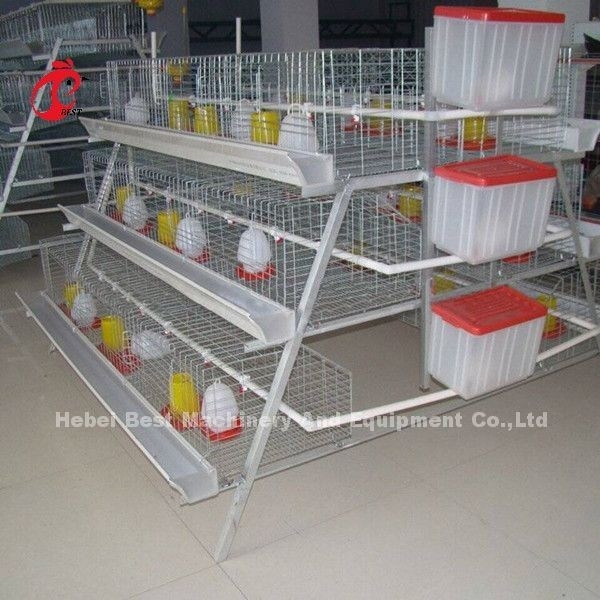 jaula del pollo del pollo de 3 gradas para 1 semana pequeño Chick Brooder Cage Doris