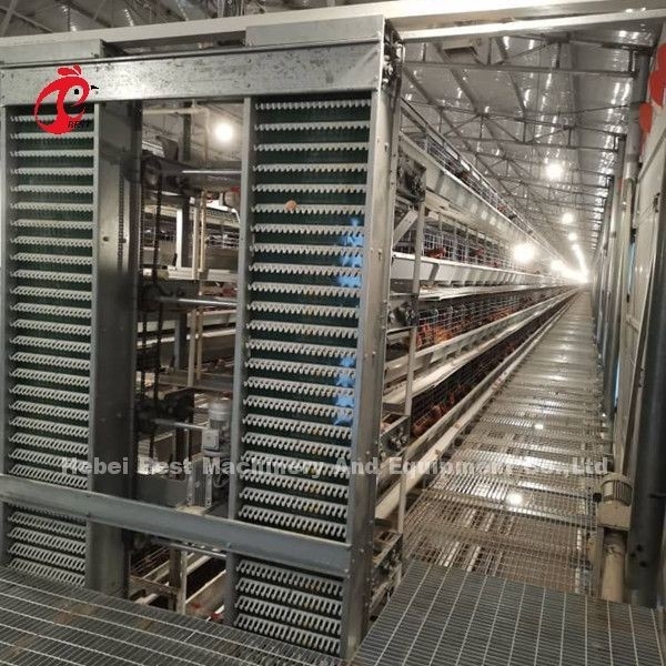 Sistema automático de recolección de huevos de alimentación para 30.000 granjas de pollos Doris