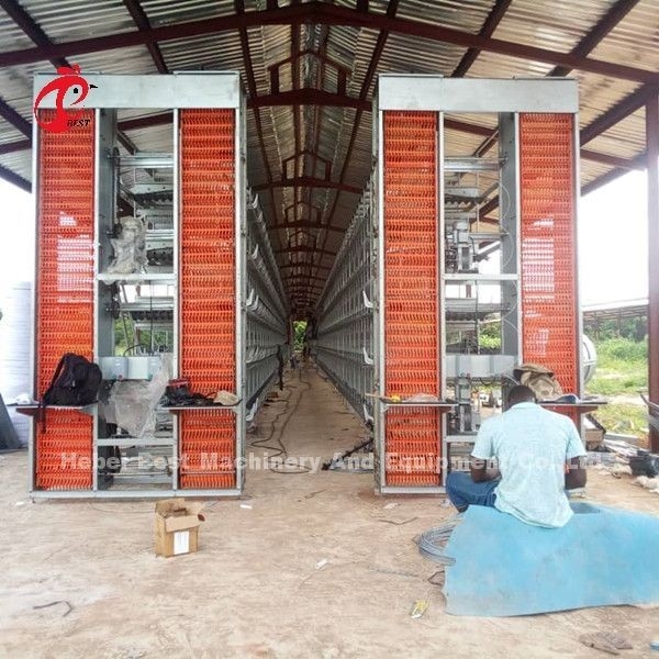 Un tipo sistema automático Sandy de H de la jaula del pollo del criador del equipo de las aves de corral de la capa