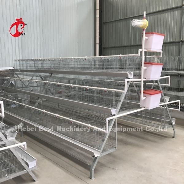 Jaula galvanizada fría Adela del pollo de la colocación de huevo de las puertas del sistema 40 de la jaula de batería de las aves de corral
