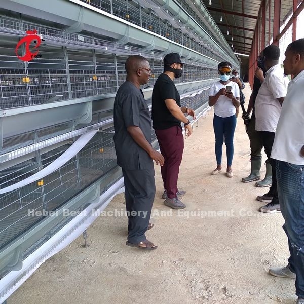 Un tipo sistema de colocación automático de H de la jaula de la avicultura del pollo en iris del mercado de África