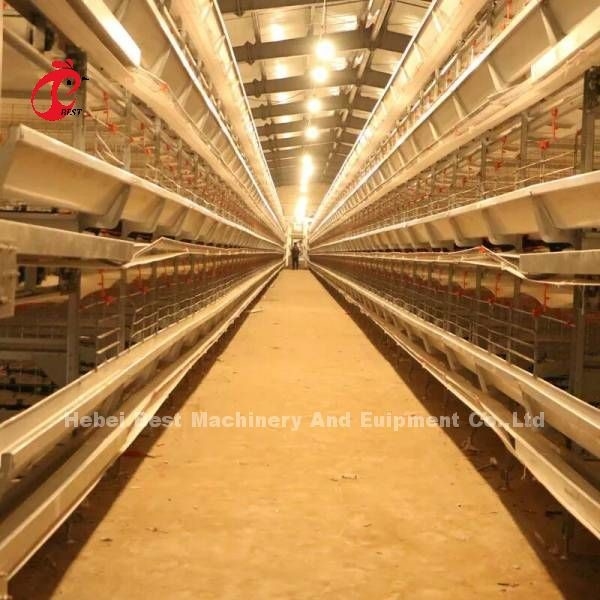 El tipo automático completo gallinas de H de las jaulas de batería es venta caliente en el mercado Mia de África