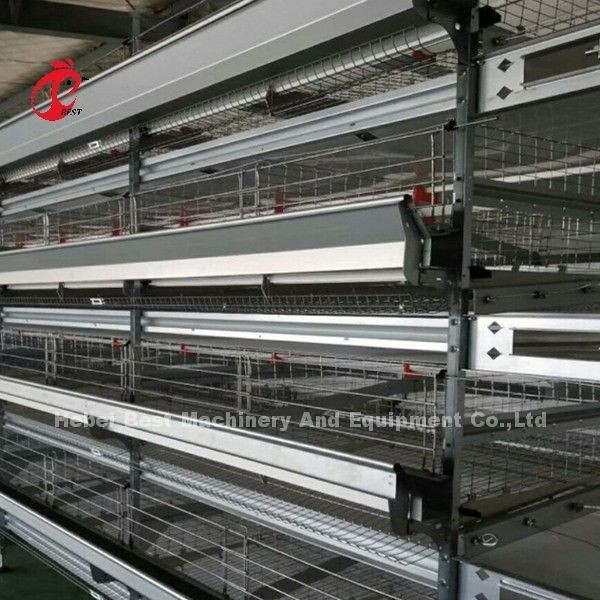 Batería automática tipo H sistema de jaula de aves de corral de venta caliente 240Birds Rose
