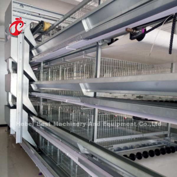 H y tipo automático de aves de corral de la jaula 15000 aves populares en África rosa