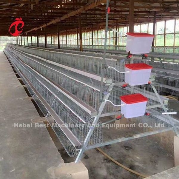 Sistema comercial los 2.0m*2.0m*1.45m de la jaula de batería de la capa del pollo en la estrella de Nigeria