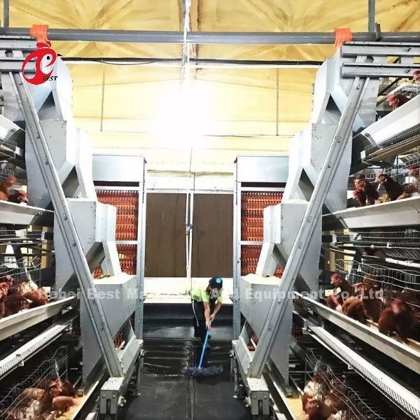 Un tipo jaula de batería del pollo de la capa por completo automática para la granja grande Adela