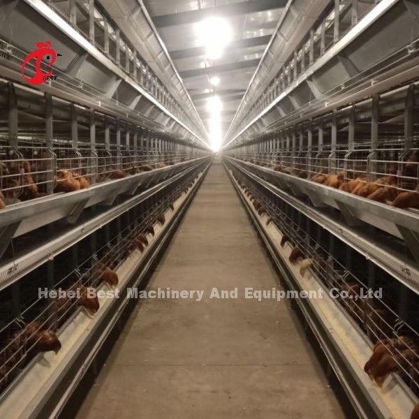 La mayoría del tipo popular sistema automático de H de la jaula de la avicultura para la granja grande Adela