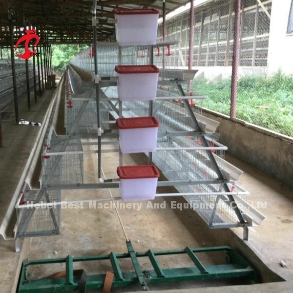 Venta caliente Rose de la capa de batería de la jaula del sistema de la capa del pollo de las gradas comerciales automáticas de la jaula 3