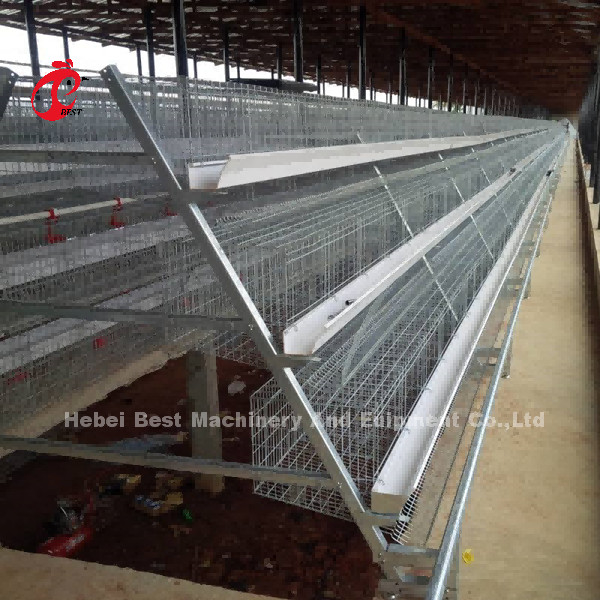 La inmersión caliente de 3 gradas galvanizó la jaula del pollo de la granja avícola, venta caliente Mia de la jaula del pollo de la capa