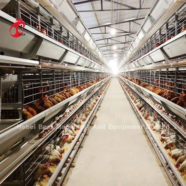 sistema de la jaula de la avicultura de los 2.2m, jaula de batería de 9 gradas para las capas Rose