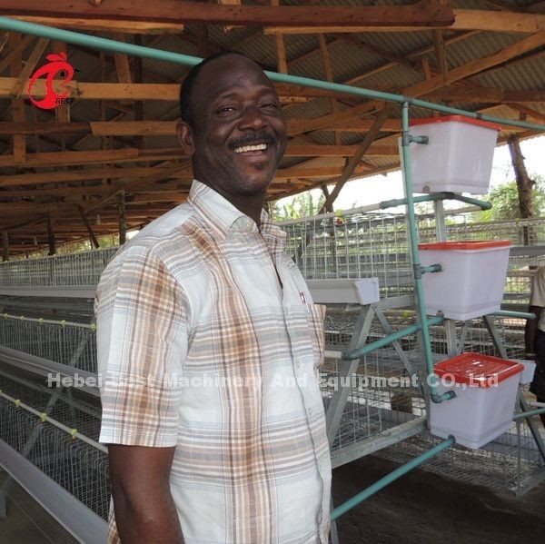 Tipo 4 160 aves aves de corral pollo batería de capas jaula galvanización caliente estrella