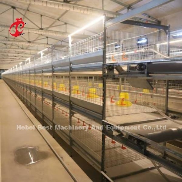 Tipo CE de la jaula del pollo tomatero, equipo automático lleno Adela de H de la jaula de la parrilla