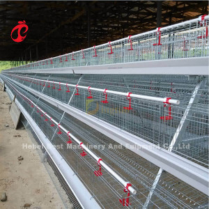 Tipo jaula de 120 pollos A de batería de la capa de equipo Mia de las aves de corral